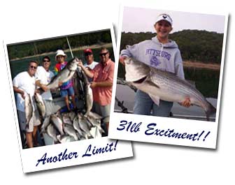 Beaver Lake Striper Fishing Guides