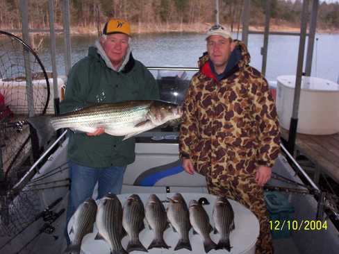 Nice Striped Bass