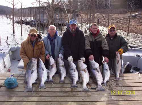 Excellent Striper Fishing