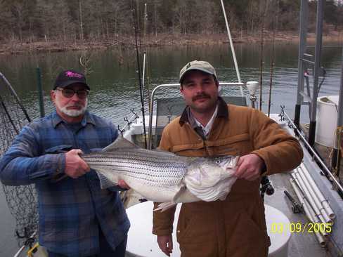 Nice Striped Bass