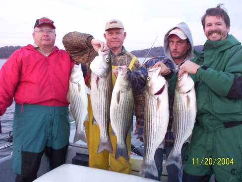 Nice Striped Bass