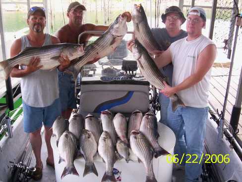 Nice Striped Bass