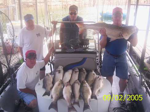 Nice Striped Bass