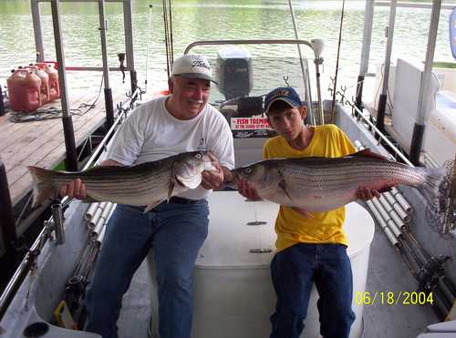 Nice Striped Bass