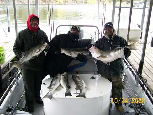 Nice Striped Bass