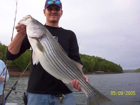 Nice Striped Bass