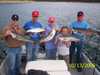 (10/13/2005) - Nice Striped Bass