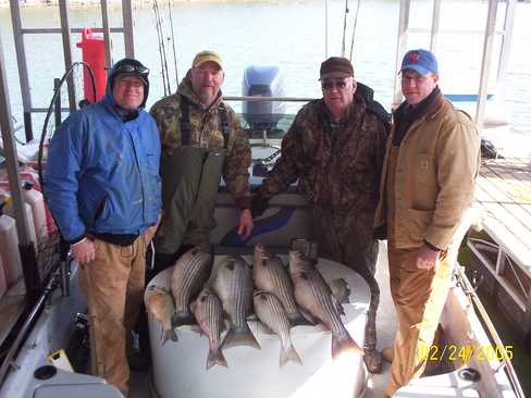 Nice Striped Bass