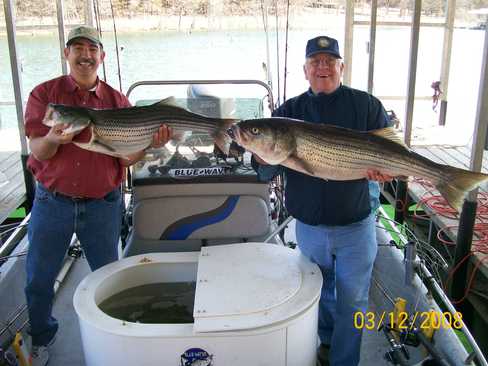 Nice Striped Bass