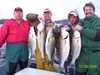 (11/20/2004) - Nice Striped Bass