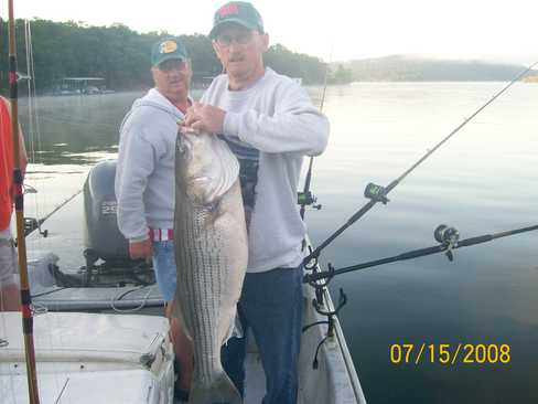 Nice Striped Bass