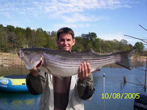 Nice Striped Bass