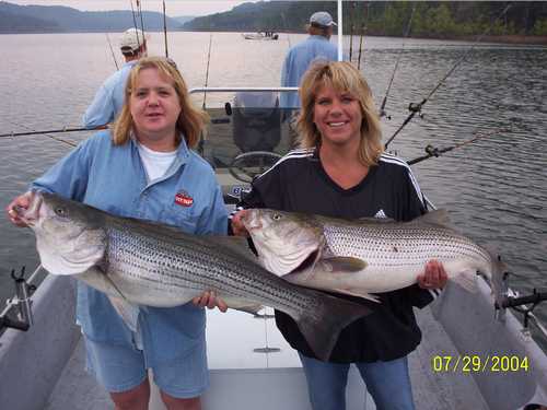 Nice Striped Bass