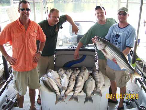 Nice Striped Bass