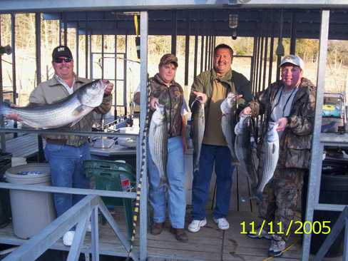 Nice Striped Bass