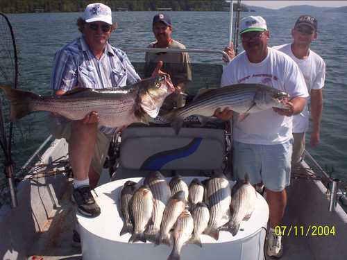 Nice Striped Bass