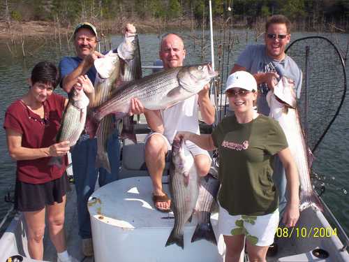 Nice Striped Bass