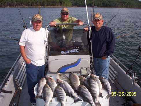 Nice Striped Bass