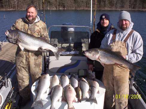 Nice Striped Bass