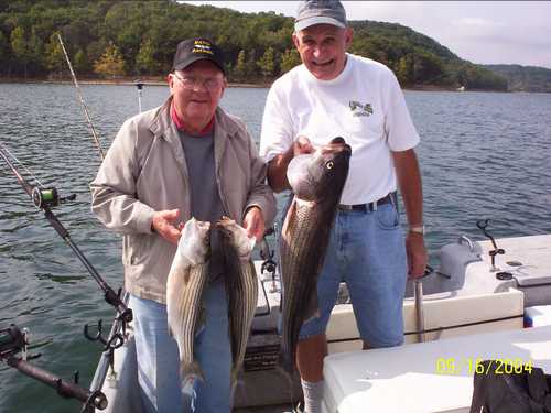 Nice Striped Bass