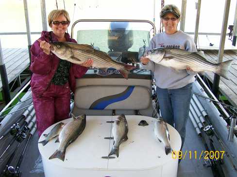 Nice Striped Bass