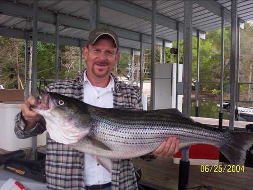 Nice Striped Bass