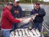 (04/22/2005) - Nice Striped Bass