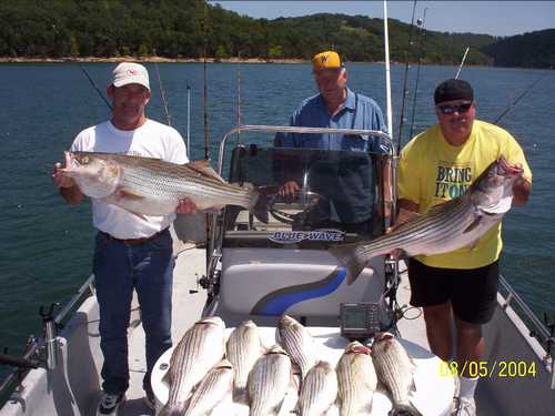 Nice Striped Bass