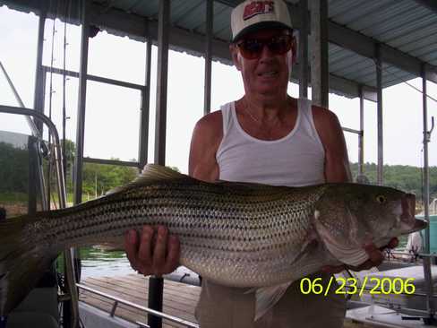 Nice Striped Bass