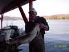 (03/19/2005) - Nice Striped Bass