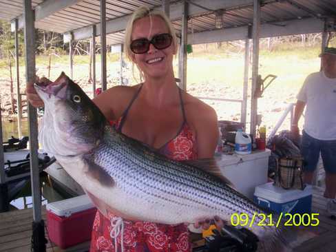 Nice Striped Bass