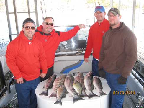 Nice Striped Bass