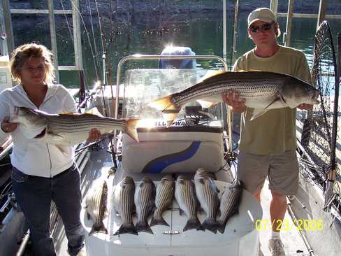 Nice Striped Bass