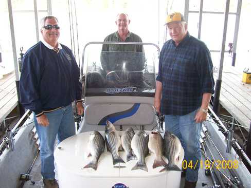 Nice Striped Bass