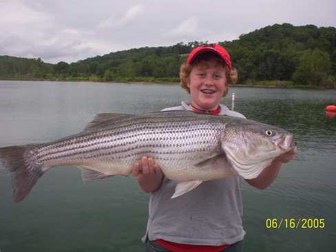 Nice Striped Bass