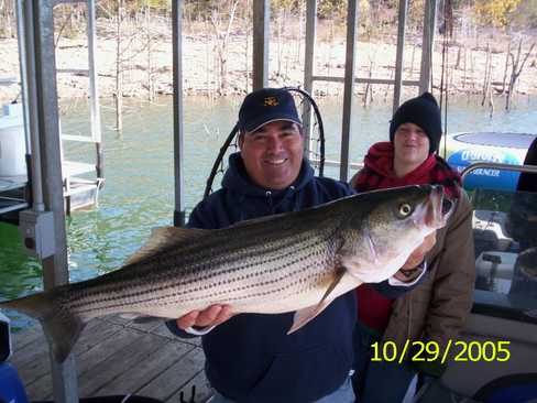 Nice Striped Bass