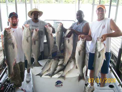 Nice Striped Bass