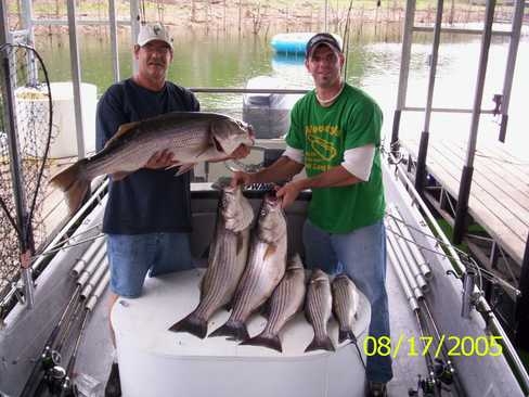 Nice Striped Bass