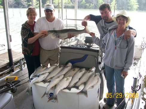 Nice Striped Bass