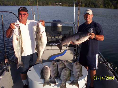 Nice Striped Bass