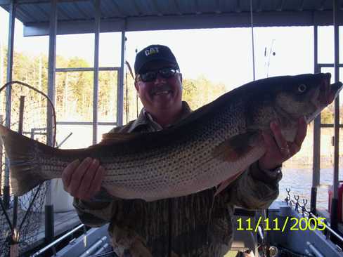 Nice Striped Bass