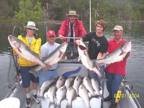 Nice Striped Bass