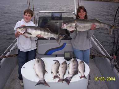 Nice Striped Bass
