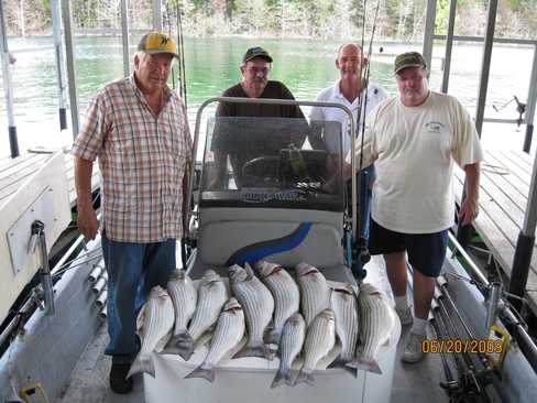 Nice Striped Bass
