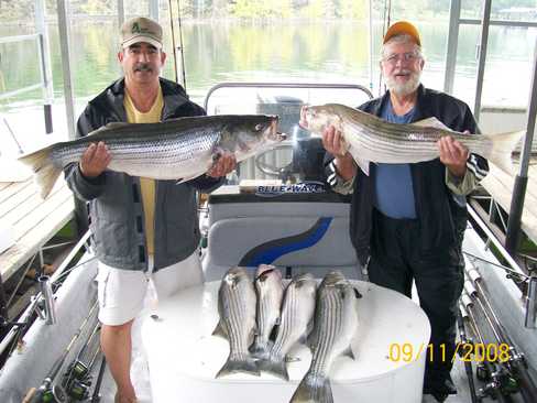 Nice Striped Bass