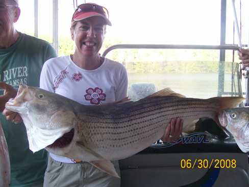 Nice Striped Bass