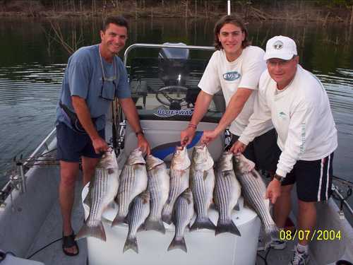 Nice mess of Stripers