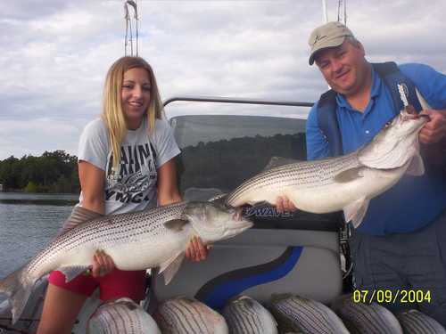 Nice Striped Bass