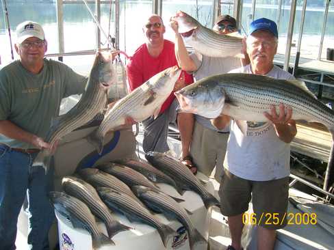 Nice Striped Bass