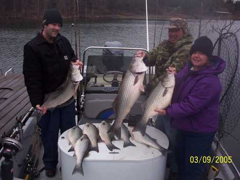 Nice Striped Bass